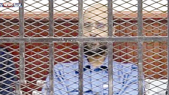 سيف الإسلام يمثل أمام المحكمة في ليبيا إسرائيل تفرج عن أسرى فلسطينيين