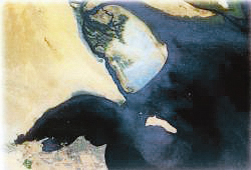 u062cu0648u0646 u0627u0644u0643u0648u064au062a u0627u0645u0627u0645 u0645u062eu0627u0637u0631 u0627u0644u062au0644u0648u062b