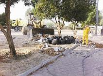 u0625u0632u0627u0644u0629 u0645u062eu0644u0641u0627u062a