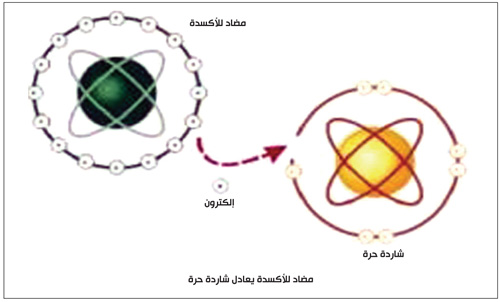 الشوارد الحرة ومضادات الأكسدة