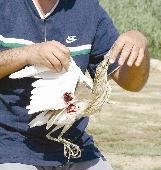 عضو فريق الرصد ممسكاً بطائر مصاب