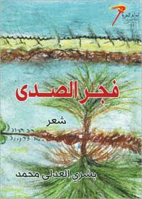 غلاف الديوان