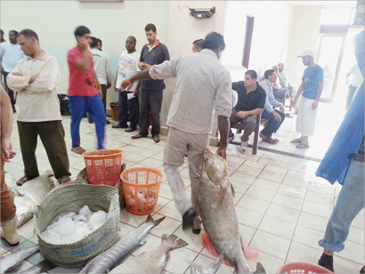 «الشماهي» في طريقها إلى «العالمية»