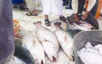 عرض محدد مقابل طلب مرتفع للشراء