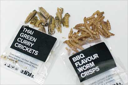 ديدان مقرمشة بطعم الباربيكيو (يمين) وحشرات صرّار الليل بنكهة الكاري التايلندي (يسار) 