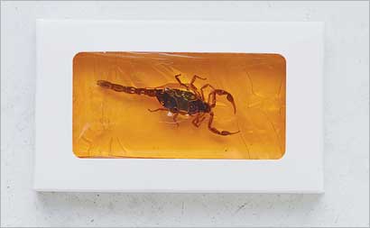 العقرب المكسو بالتوفي