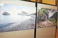 لقطات فوتوغرافية من الهواة