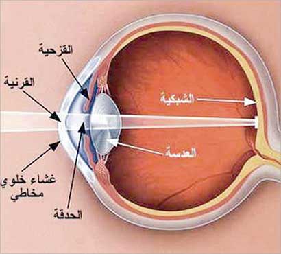 u00abu0627u0644u0645u064au0627u0647 u0627u0644u0632u0631u0642u0627u0621 u062au0628u064au062d u0627u0644u0627u0641u0637u0627u0631 u0641u064a u0628u0639u0636 u0627u0644u062du0627u0644u0627u062a