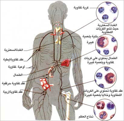 سعادة الزكاة تقوي جهاز المناعة