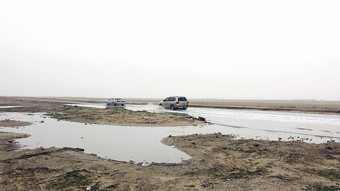 الخباري تزين المناطق البرية