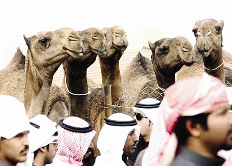 جانب من مسابقات «الموروث الشعبي» في العام الماضي