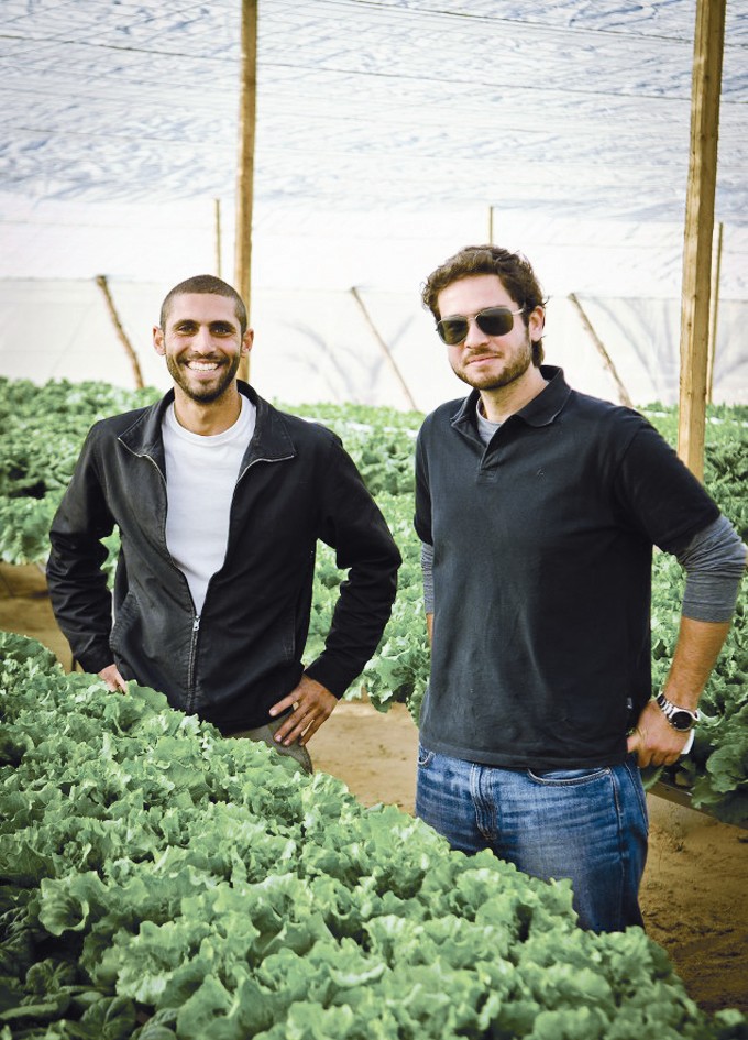 u0639u0627u062fu0644 u0648u0639u0645u0631u0648 u0641u064a u0645u0634u0631u0648u0639u0647u0645u0627 u0627u0644u0632u0631u0627u0639u064a