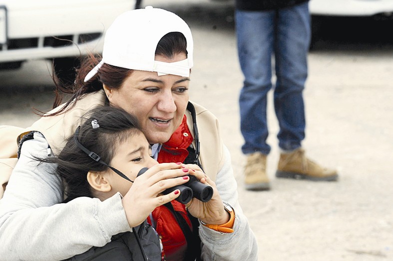 مشاركة نسائية