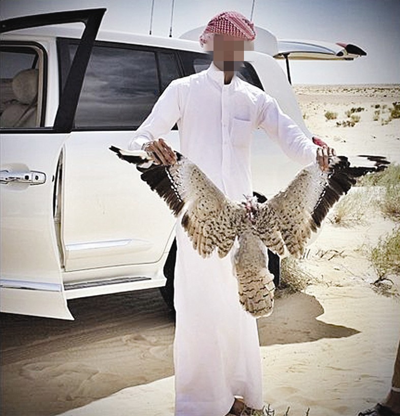 صياد فرح بصيده