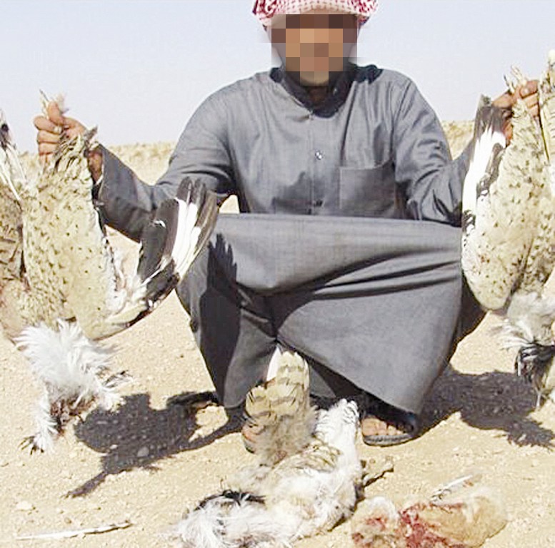 أحد الصيادين يعرض صيده الوفير من الحباري