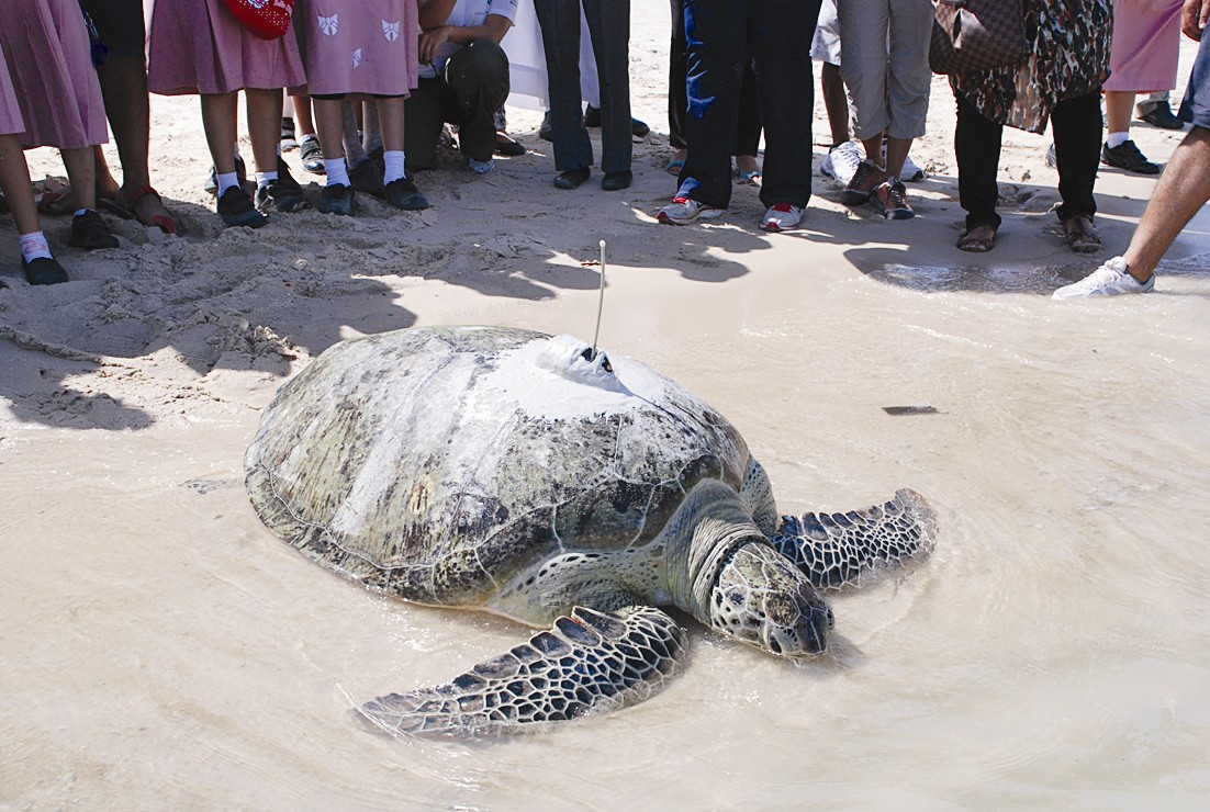 u0625u0637u0644u0627u0642 u0627u0644u0633u0644u062du0641u0627u0629 u0627u0646u062au0635u0627u0631