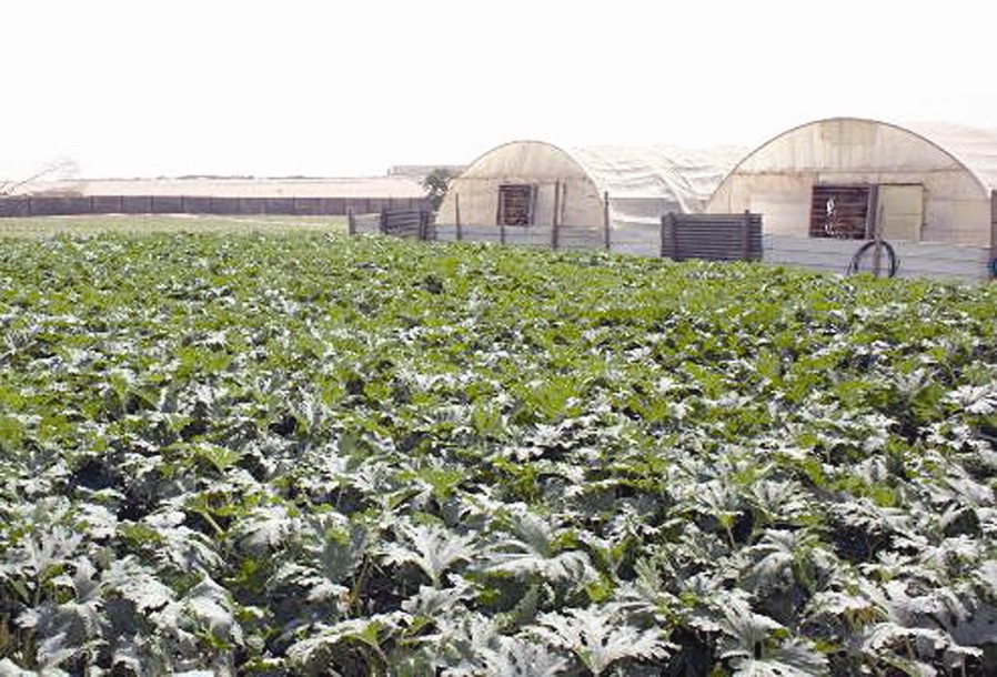 محميات في المزارع