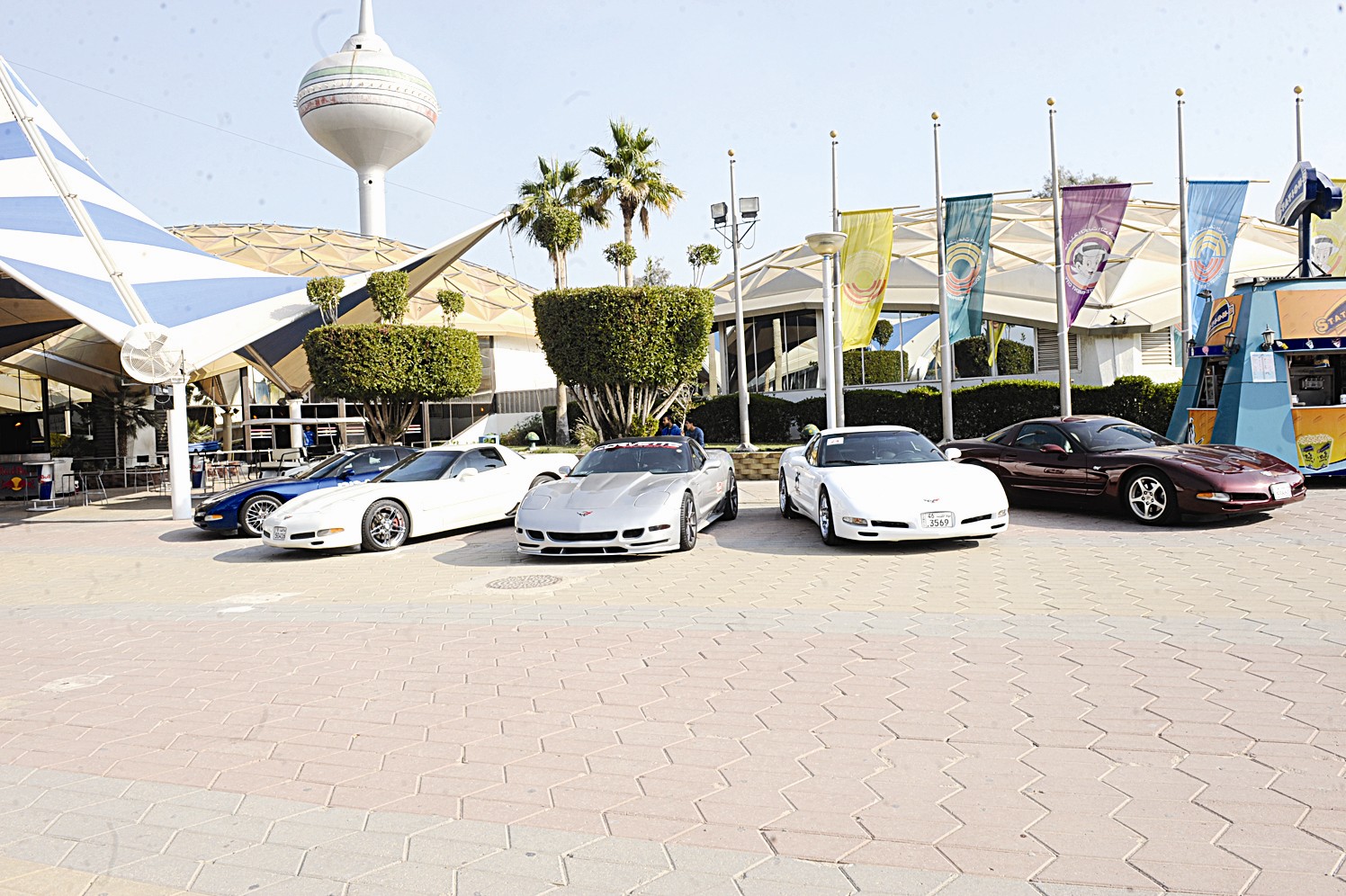 سيارات «الكورفيت» في بداية العرض (تصوير جلال معوض)