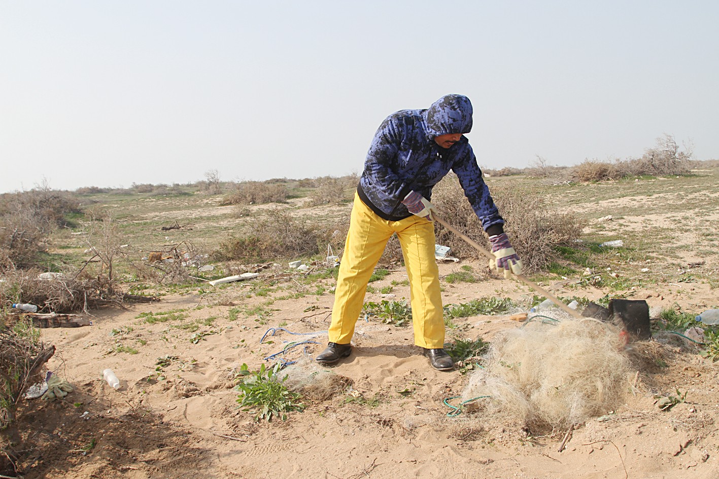طبيعة بكر في جزيرة مسكان (تصوير غانم السليماني)