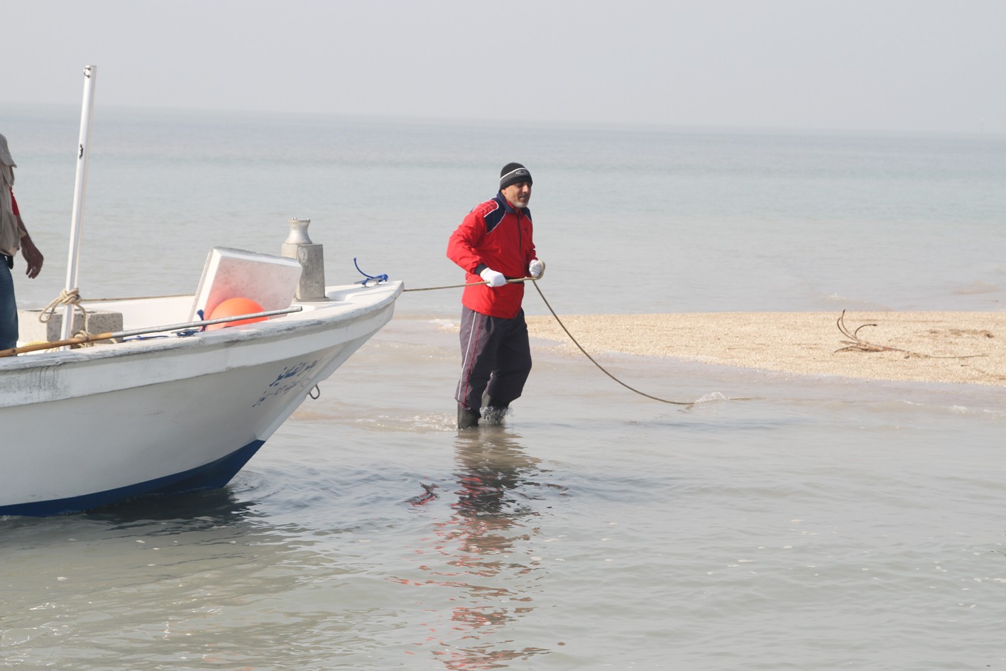 على شاطئ الجزيرة يستكشف جمالها
