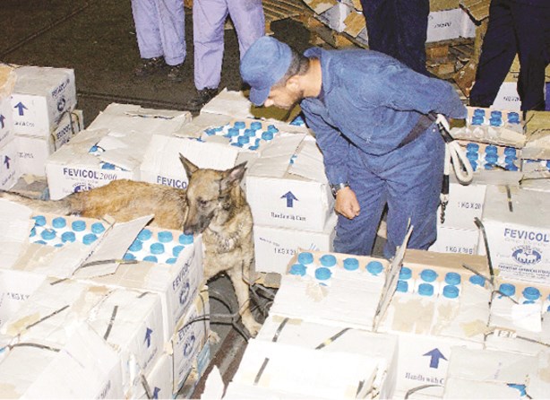 تفتيش دقيق باستخدام الكلاب البوليسية