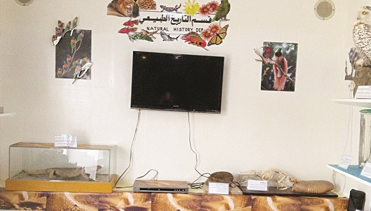 u062cu0627u0646u0628 u0645u0646 u0645u062du062au0648u064au0627u062a u0627u0644u0645u0639u0631u0636