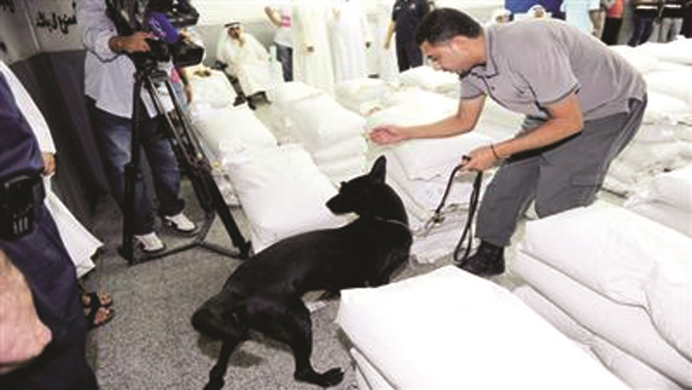 u0635u0648u0631u0629 u0623u0631u0634u064au0641u064au0629 u0645u0646 u0625u062cu0631u0627u0621u0627u062a u0627u0644u062cu0645u0627u0631u0643 u0627u0644u062au0641u062au064au0634u064au0629