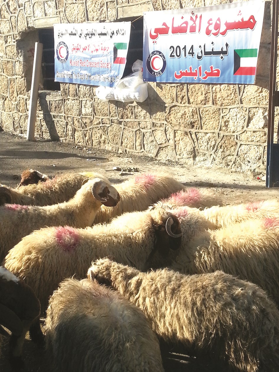 u0627u0644u0627u0636u0627u062du064a u062cu0627u0647u0632u0629 u0644u0644u0630u0628u062d u0648u0627u0644u062au0648u0632u064au0639