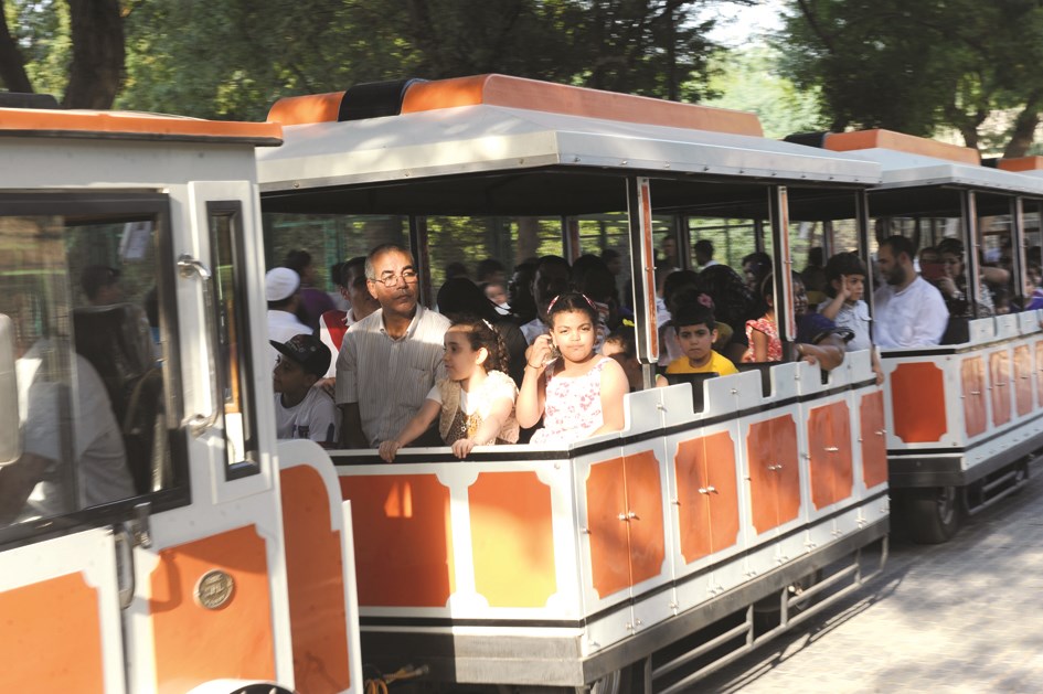 جولة في القطار