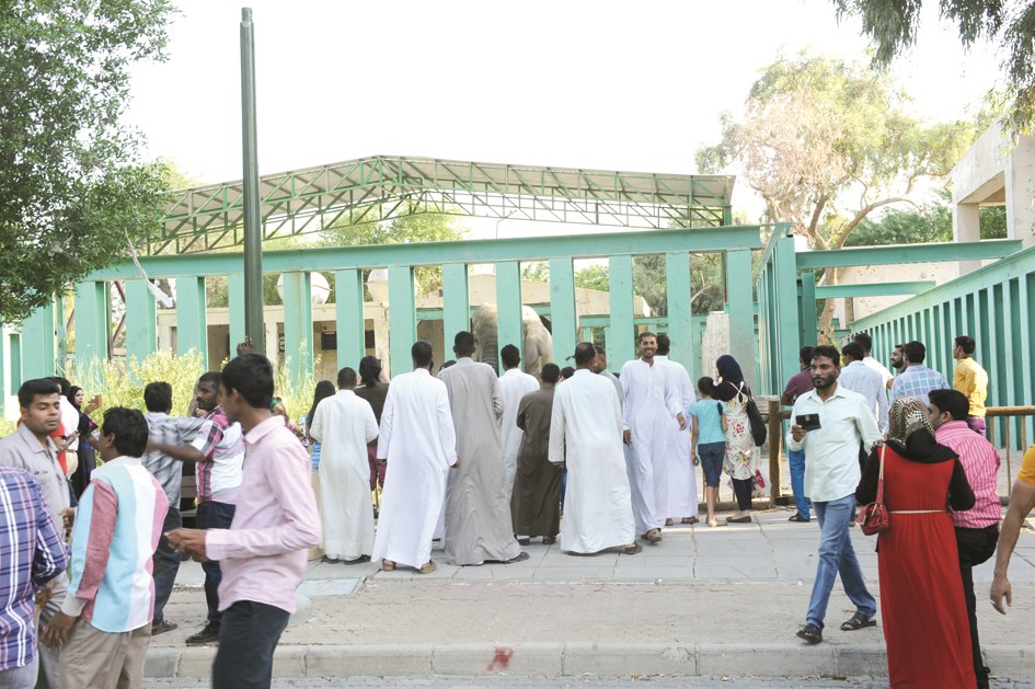 زيارة الى بيت الفيل