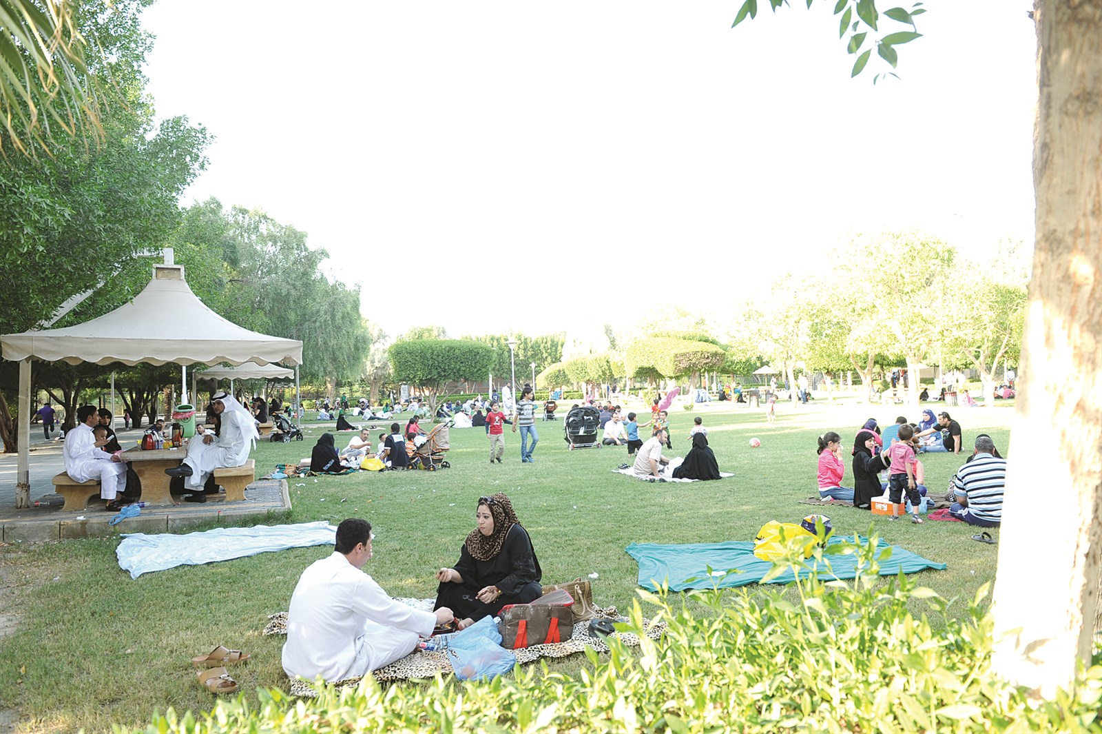 u0641u0633u062du0629 u0627u0644u0639u064au062f u0641u064a u062du062fu064au0642u0629 u0627u0644u062du064au0648u0627u0646 (u062au0635u0648u064au0631 u062cu0644u0627u0644 u0645u0639u0648u0636)