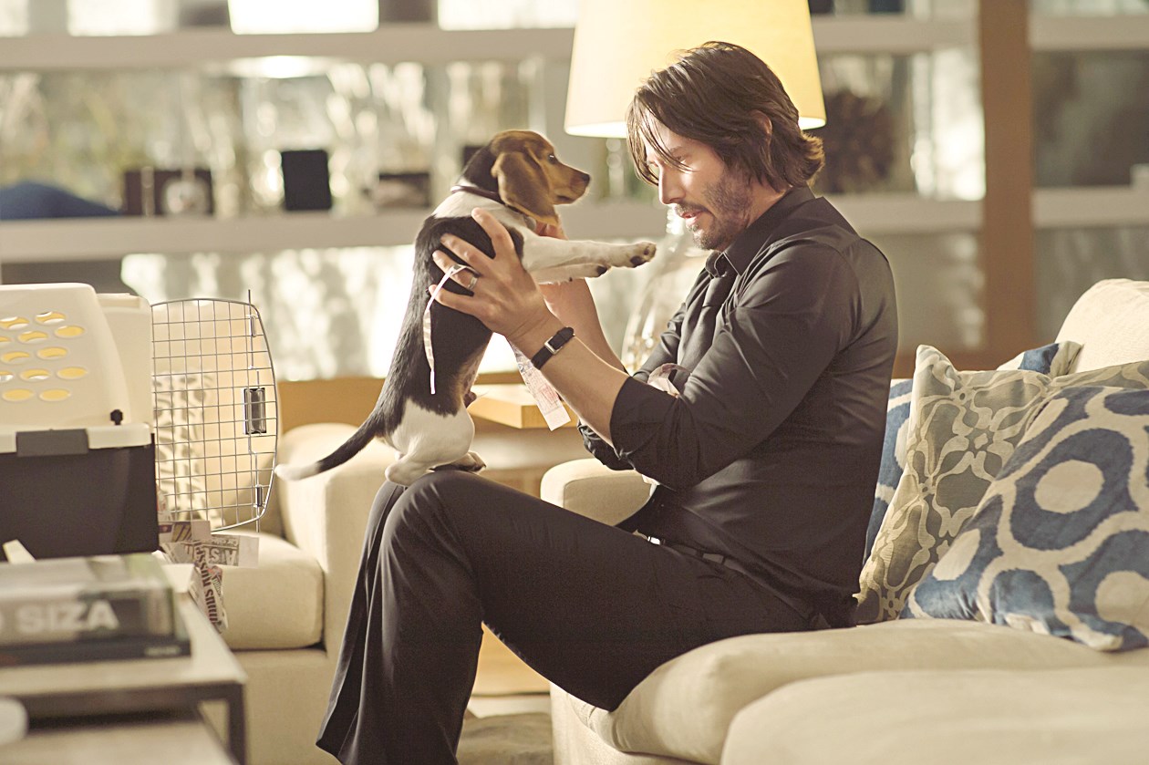 u00abu0631u064au0641u0631u00bb u0645u0639 u0643u0644u0628u062au0647