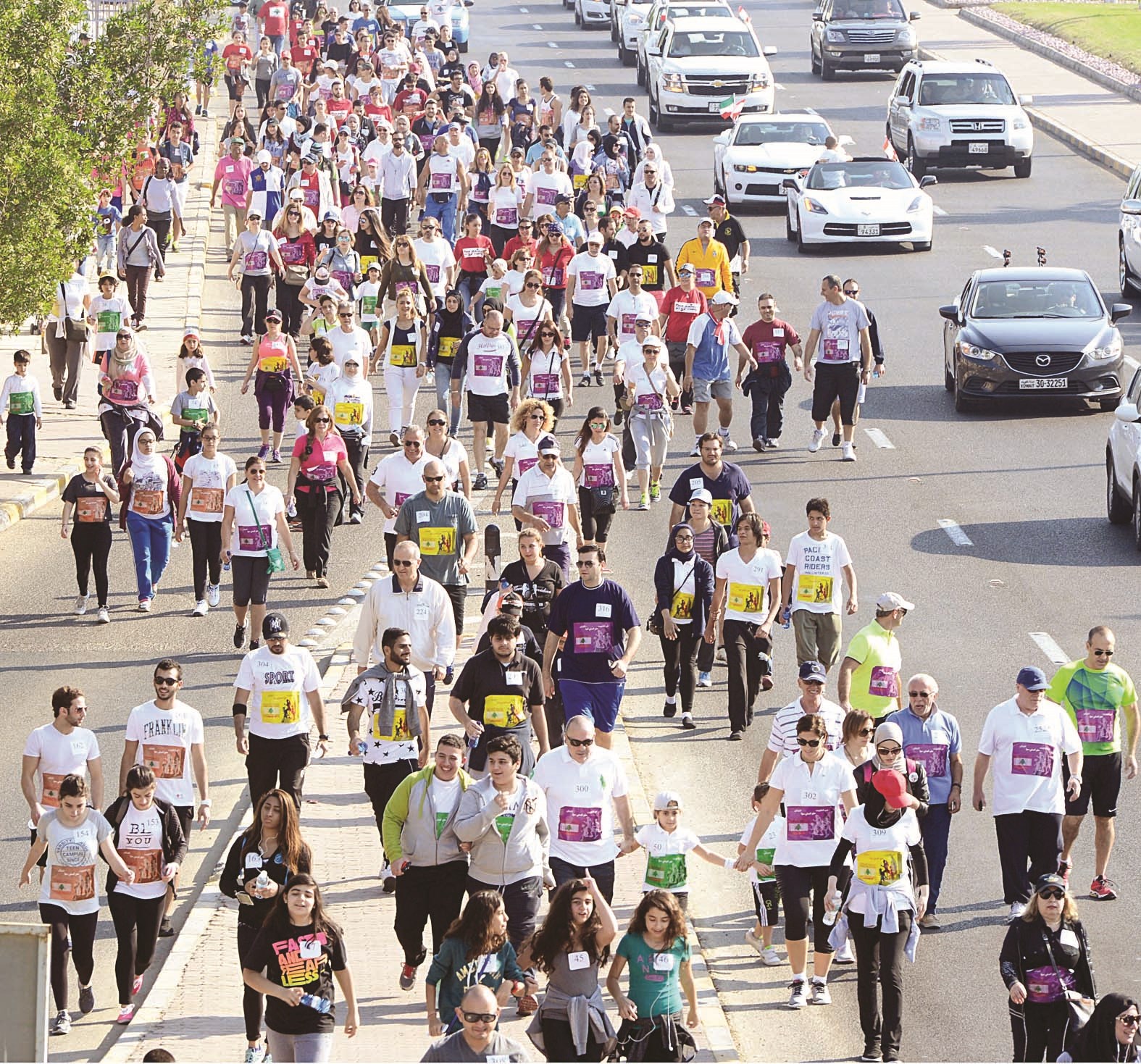 متسابقون وأعلام على السيارات