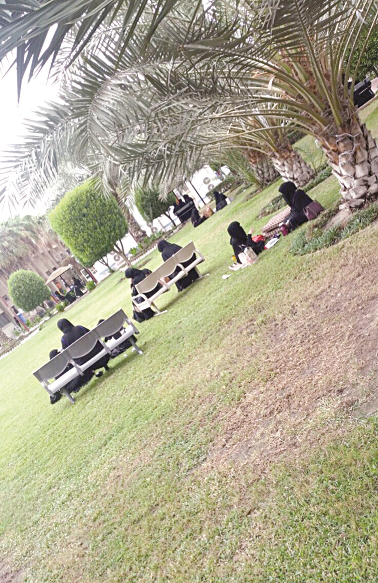 u0637u0627u0644u0628u0627u062a u0627u0644u062cu0627u0645u0639u0629