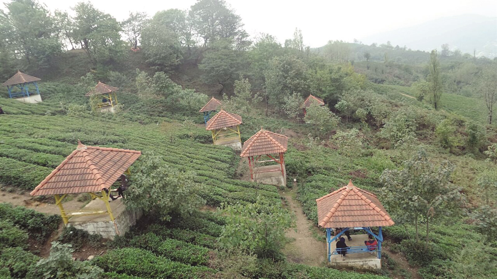 u0637u0628u064au0639u0629 u0631u0627u0626u0639u0629