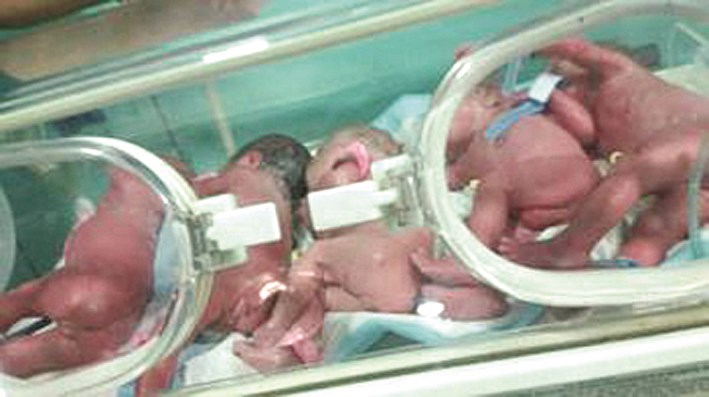 u0627u0644u062au0648u0627u0626u0645 u0627u0644u062eu0645u0633u0629