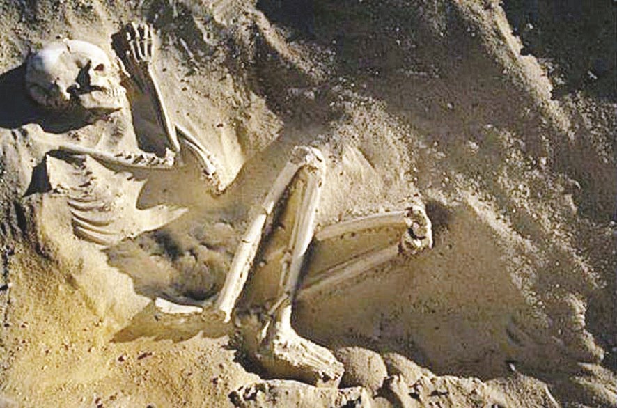 بقايا متحجّرة لهيكل عظمي بشري