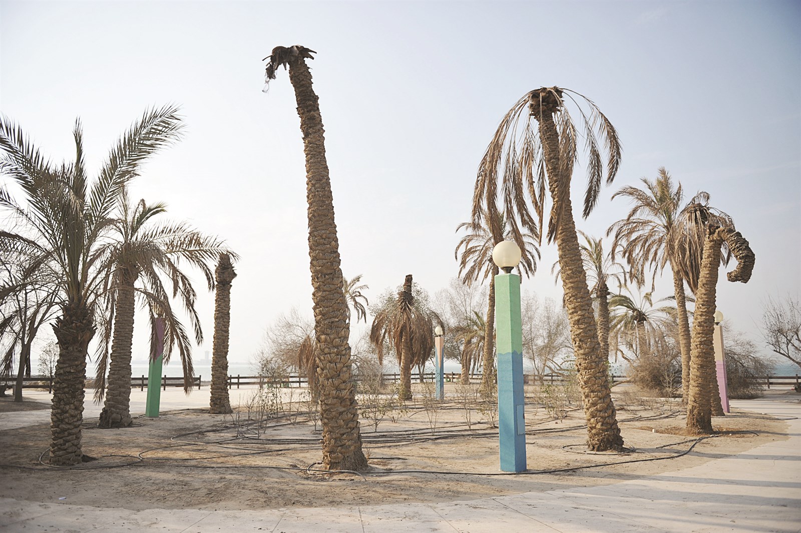 أعمدة لا حياة فيها