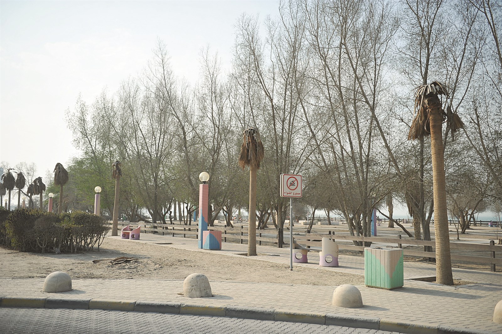 u0627u0634u062cu0627u0631 u0645u064au062au0629 u0639u0644u0649 u0634u0627u0637u0626 u0627u0644u0634u0648u064au062e  (u062au0635u0648u064au0631 u0646u0648u0631 u0647u0646u062fu0627u0648u064a)