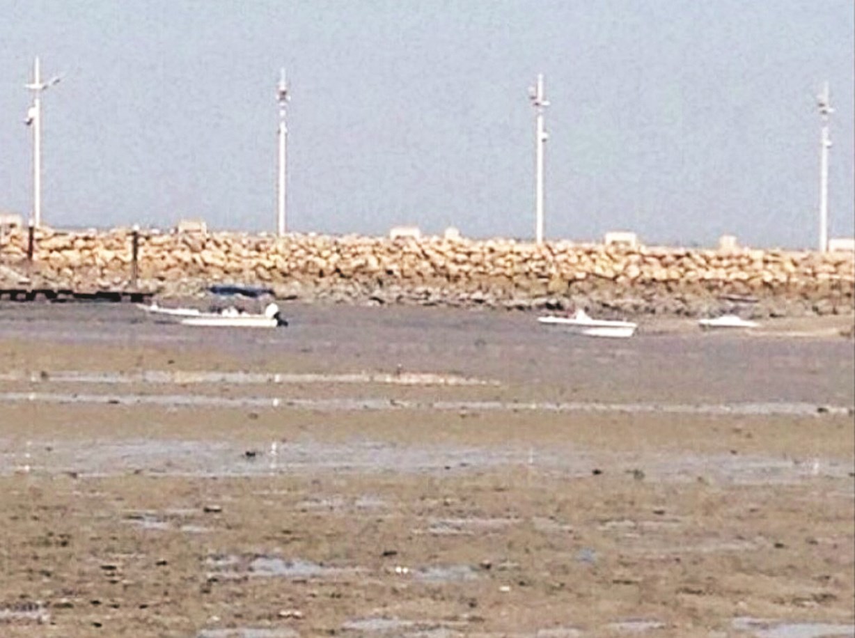 طراريد في انتظار «المد» للخروج الى الشاطئ