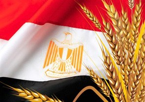 u0627u0644u0642u0645u062d u0641u064a u0645u0635u0631