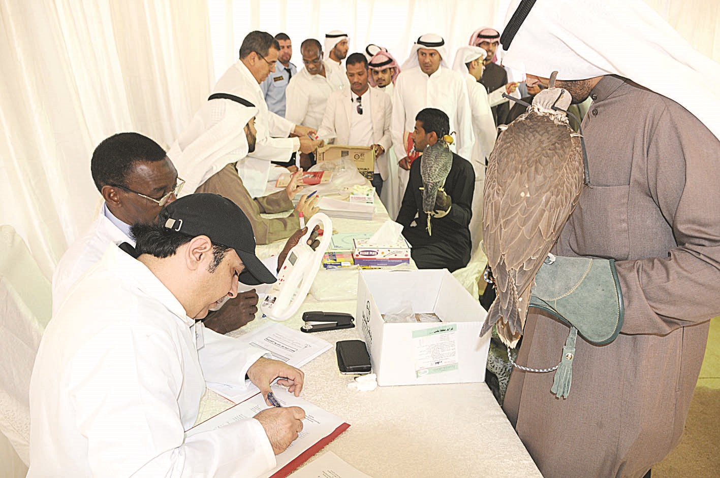 u062au0633u062cu064au0644 u0627u0644u0637u064au0648u0631 u0627u0644u0645u0634u0627u0631u0643u0629 u0641u064a u0627u0644u0641u0639u0627u0644u064au0627u062a