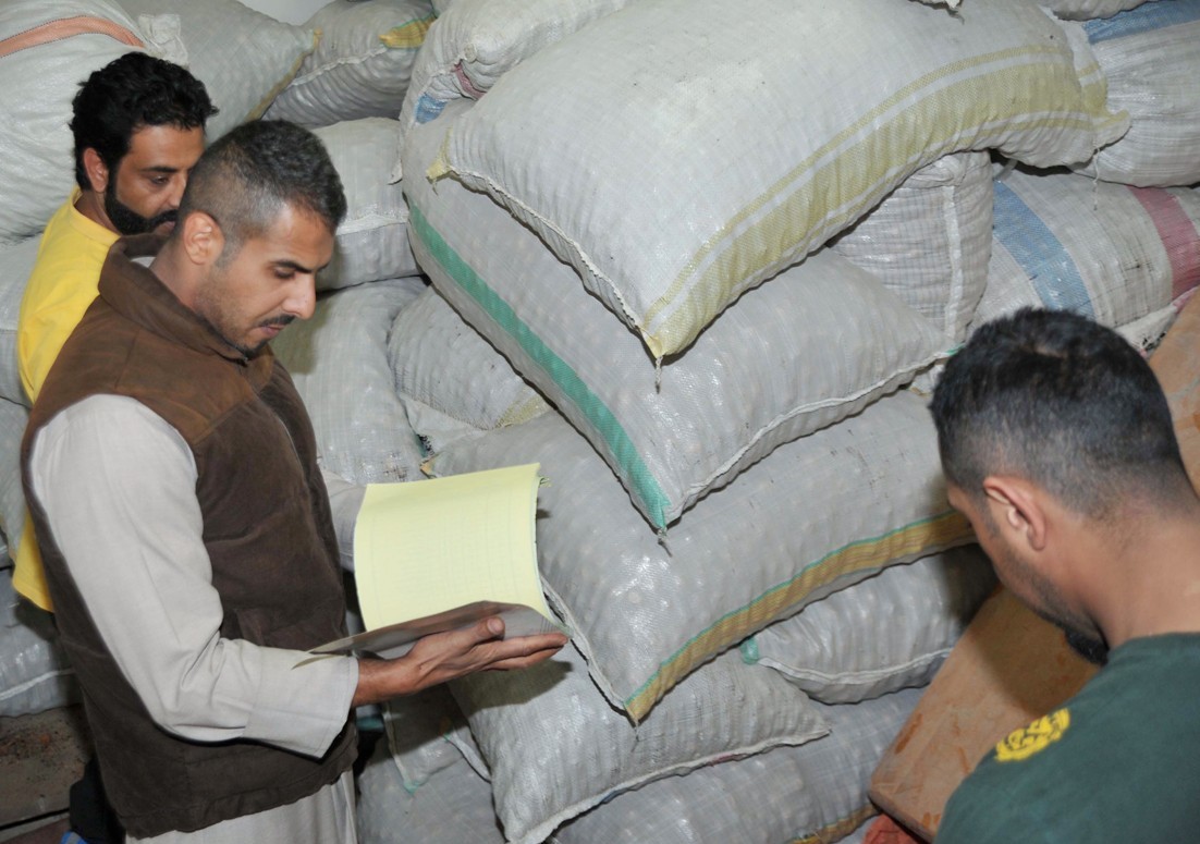 معاينة وتدقيق