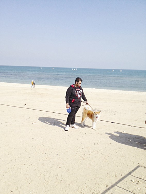 كلب مشارك في المسابقة