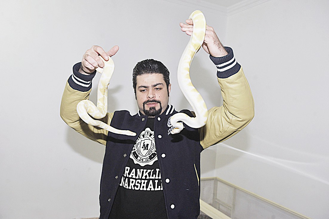 اللعب مع الأفاعي