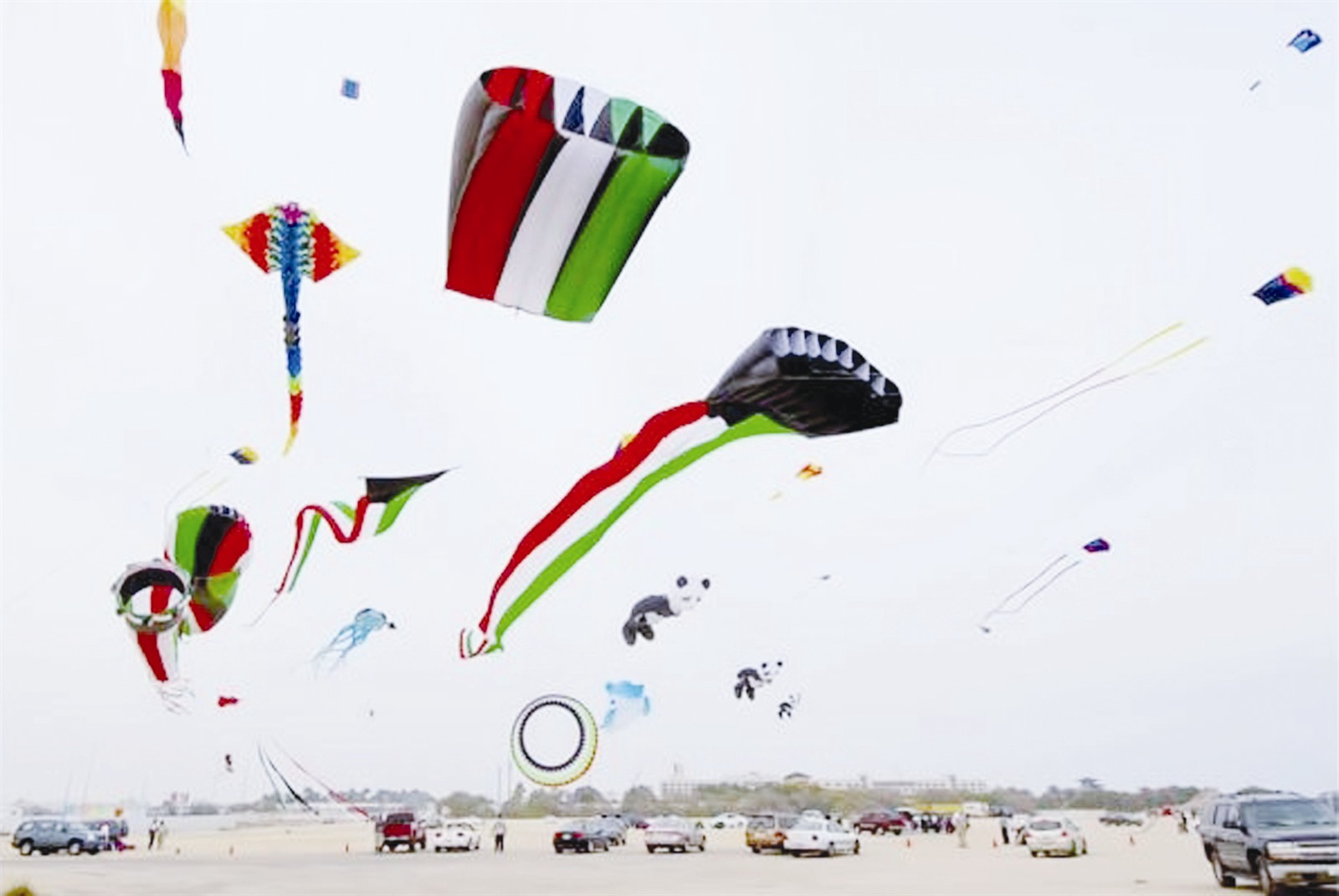 u0645u0638u0627u0647u0631u0629 u0627u062du062au0641u0627u0644u064au0629 u0641u064a u0630u0643u0631u0649 u0627u0633u062au0642u0644u0627u0644 u0627u0644u0643u0648u064au062a u0648u062au062du0631u064au0631u0647u0627