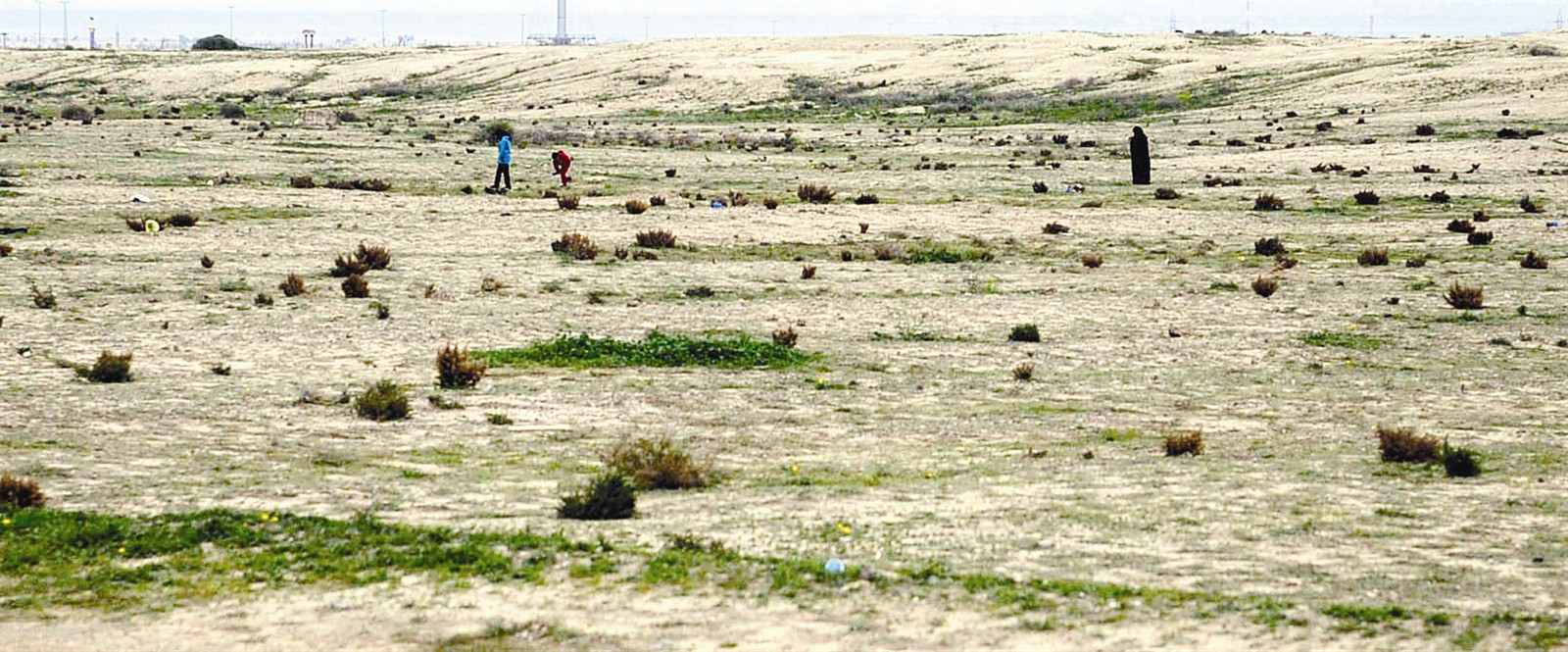 «المتفقعون» اقتحموا المناطق العسكرية بحثا عن محبوبتهم ... وفي الإطار الفقع ثمرة نادرة (يميناً) والزميل غانم السليماني مع بائع فقع عراقي (يساراً)