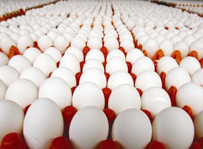 u0627u0643u062au0641u0627u0621 u0630u0627u062au064a u0645u0646 u0627u0644u0628u064au0636