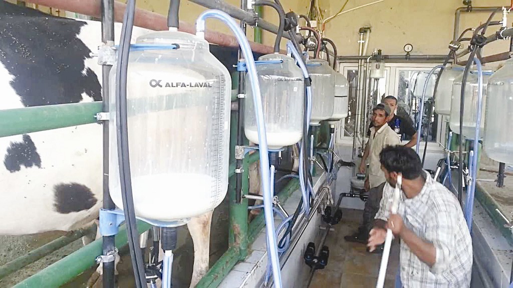 إنتاج الحليب بالتقنية الحديثة