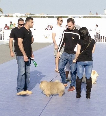 في خضم المنافسة